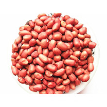 Qualitäts-frische rote Erdnuss Kernal Hot Sale